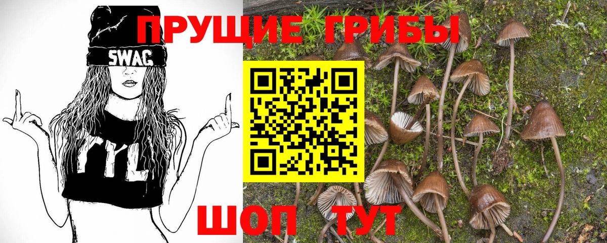 Галлюциногенные грибы GOLDEN TEACHER  Вход с VPN  Фурманов 