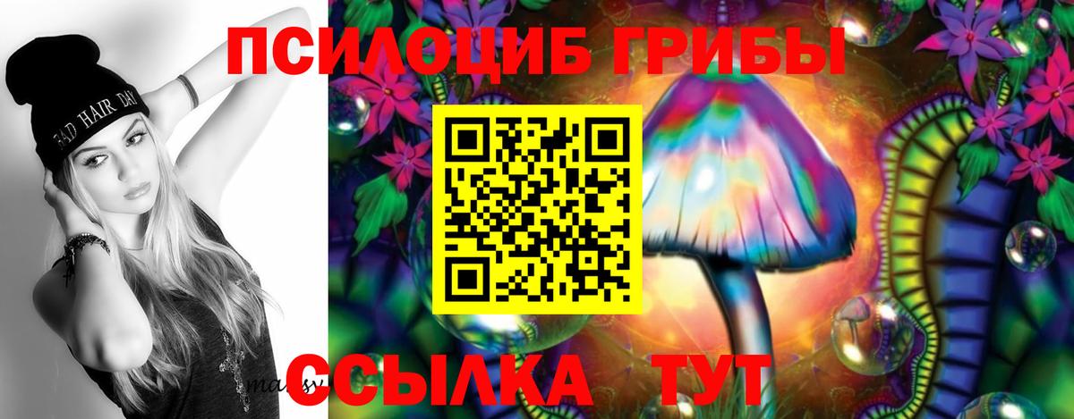 Галлюциногенные грибы Psilocybine cubensis Фурманов