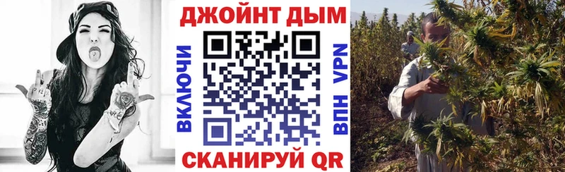как найти наркотики  Фурманов  гидра зеркало  Конопля план 